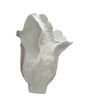 SPADENA IVORY